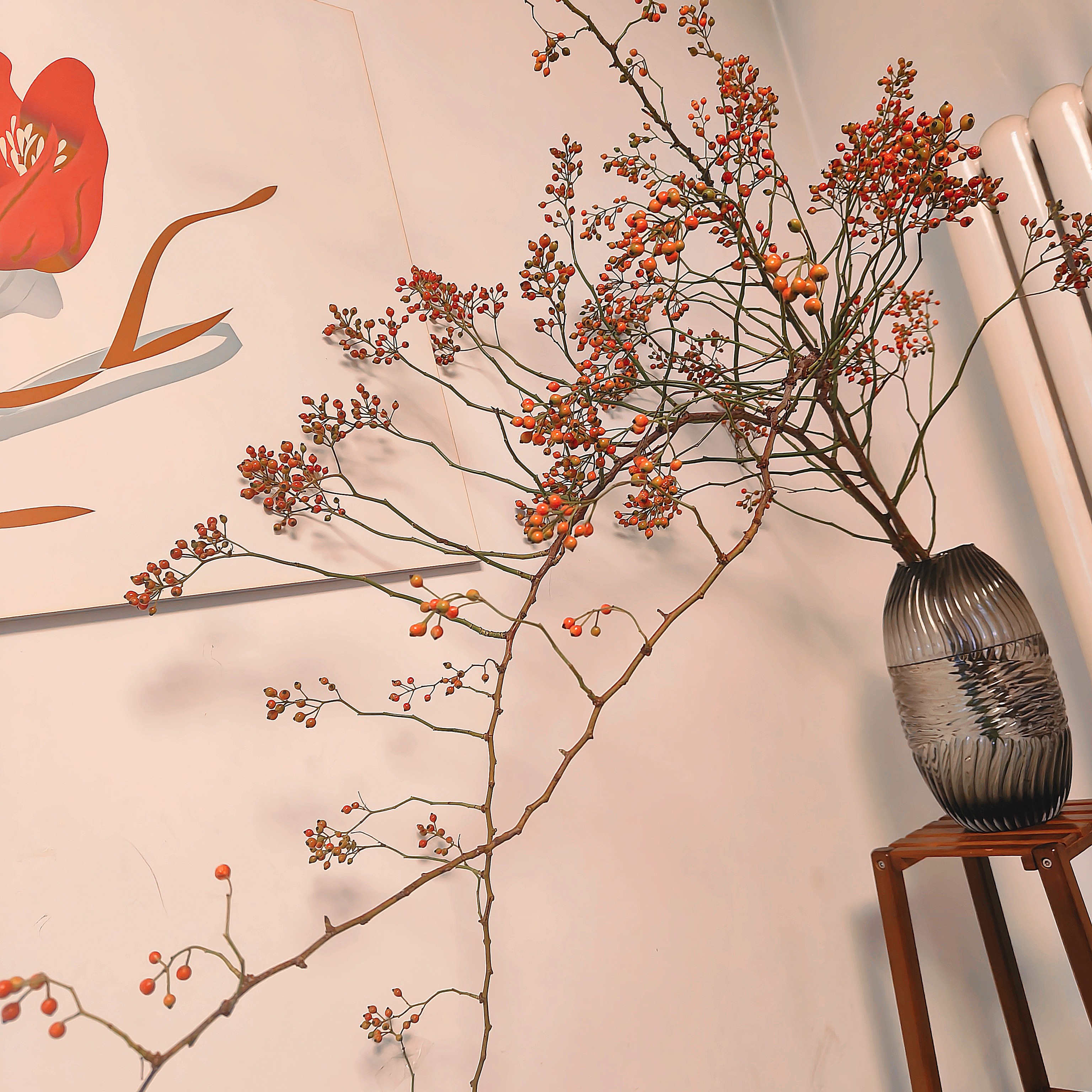 秋色有礼山归来鲜切山东发货可做干花水培家居装饰花材南天竹盆栽