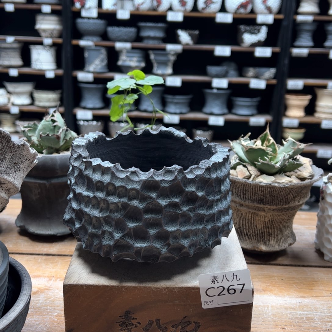 素八九陶瓷内口11高9.5熊**师