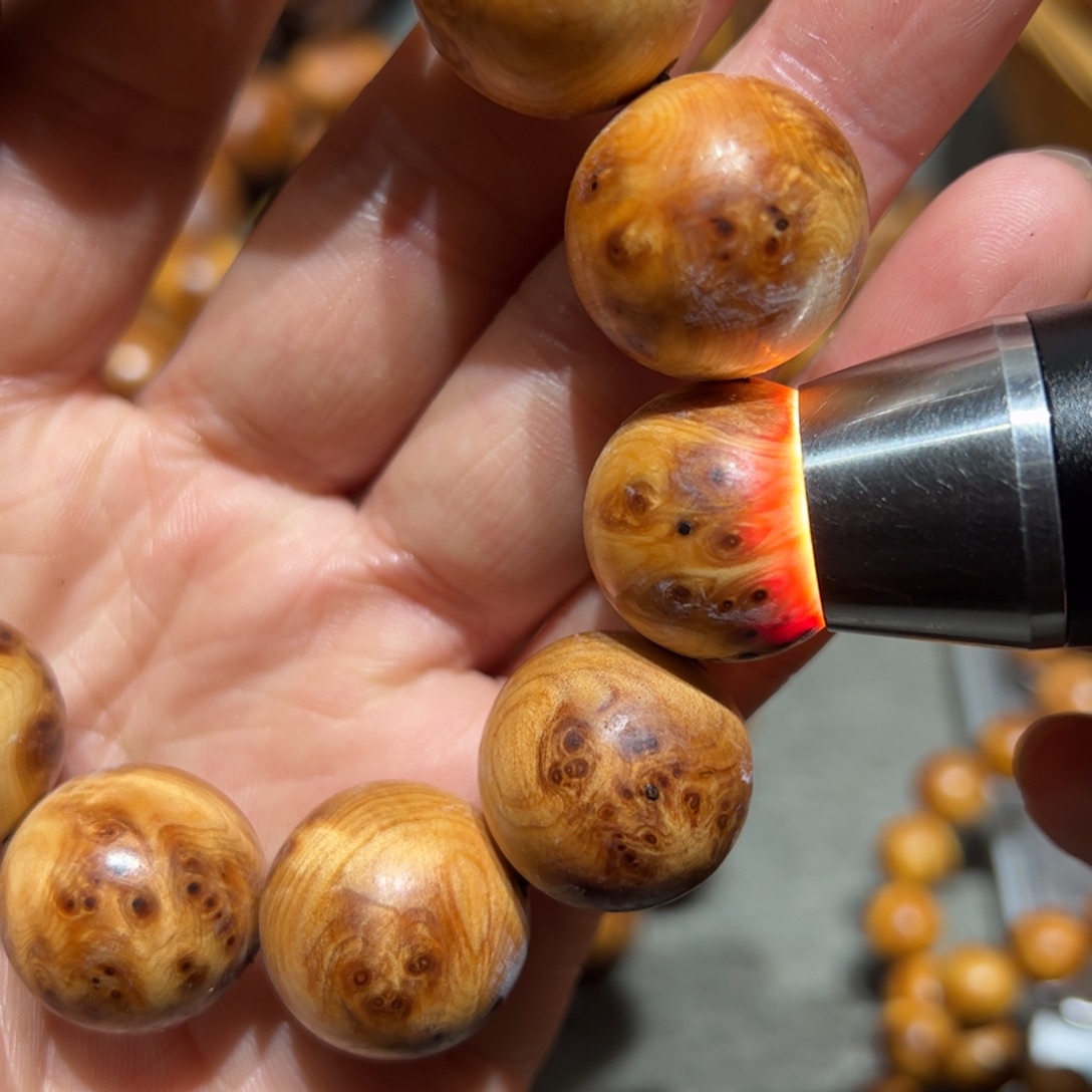 太行崖柏陈化太行