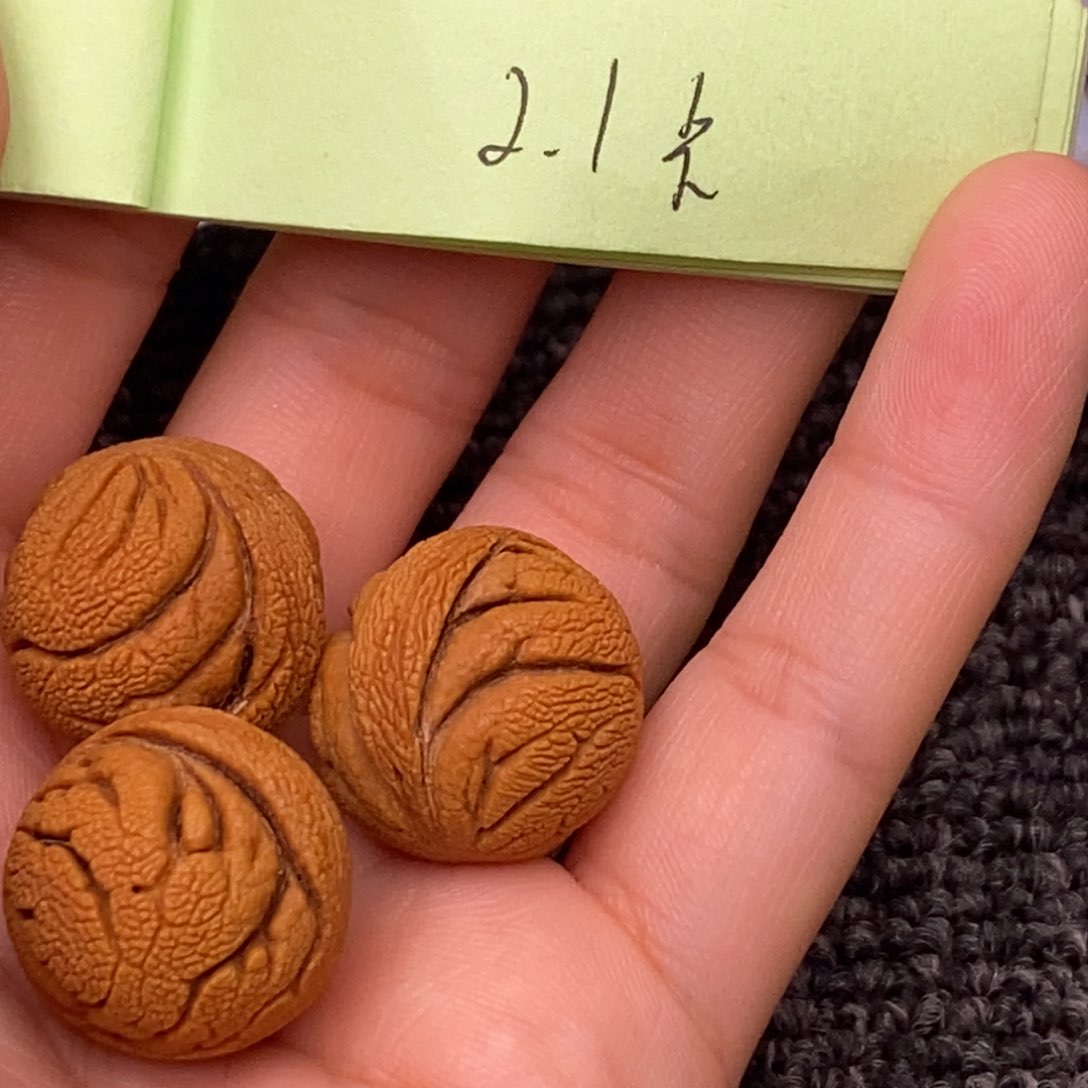 秦岭山脉龙纹桃核 13
