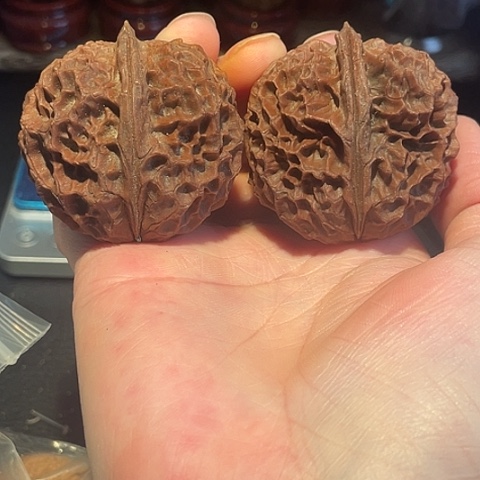 把件文玩核桃凤凰牡丹阴皮47