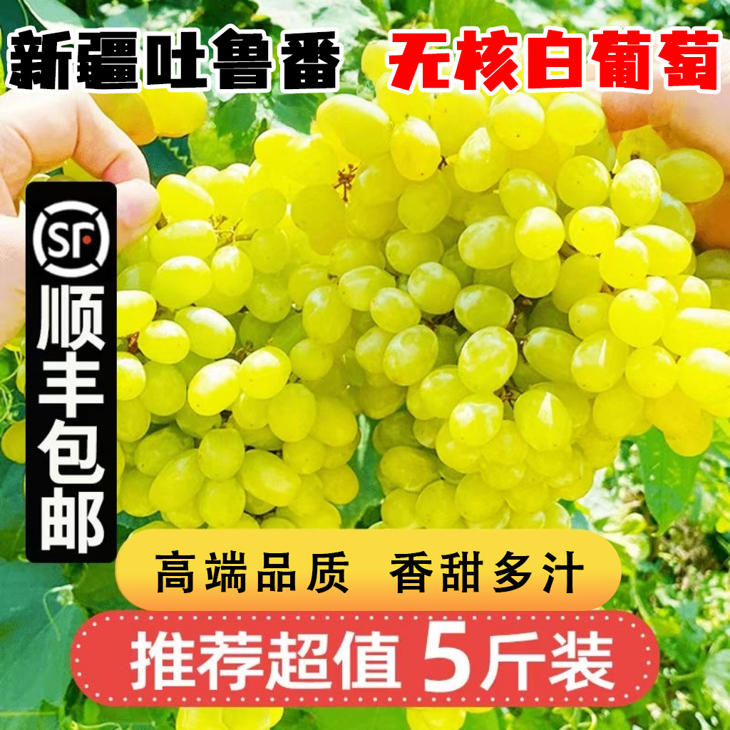 【H新疆无核白葡萄】无籽青提水晶葡萄马奶提 顺丰 0.5-5斤装