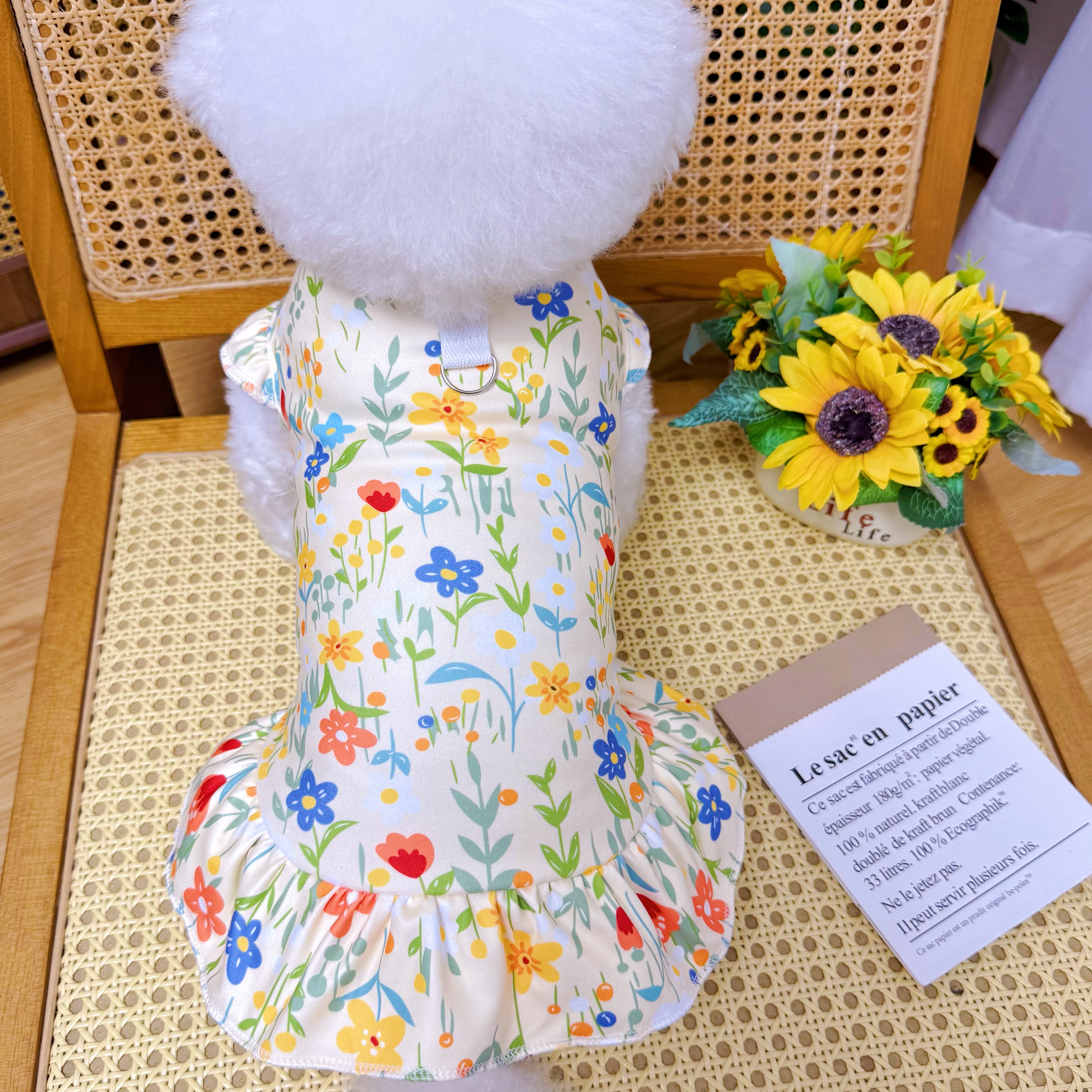 狗狗衣服秋春款背心大狗狗衣服猫咪泰迪柯基金毛小中型犬连衣裙子