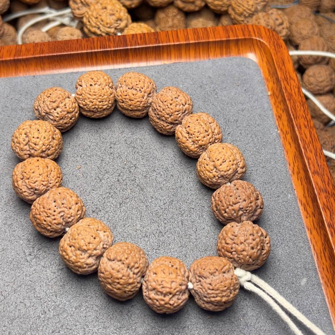 菩提13号尼泊尔大金刚21熊猫菠萝蜜