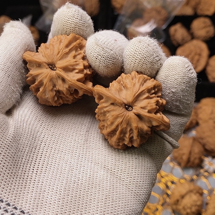 文玩核桃把件呼**儿秦岭金心子