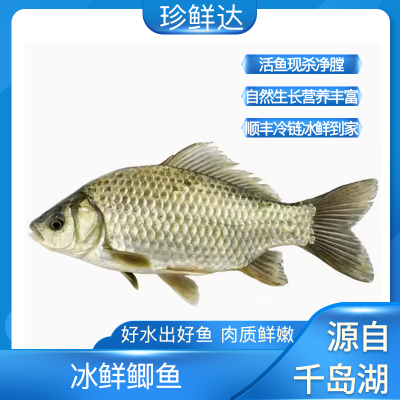 千岛湖冰鲜鲫鱼500g*2条 现杀净膛