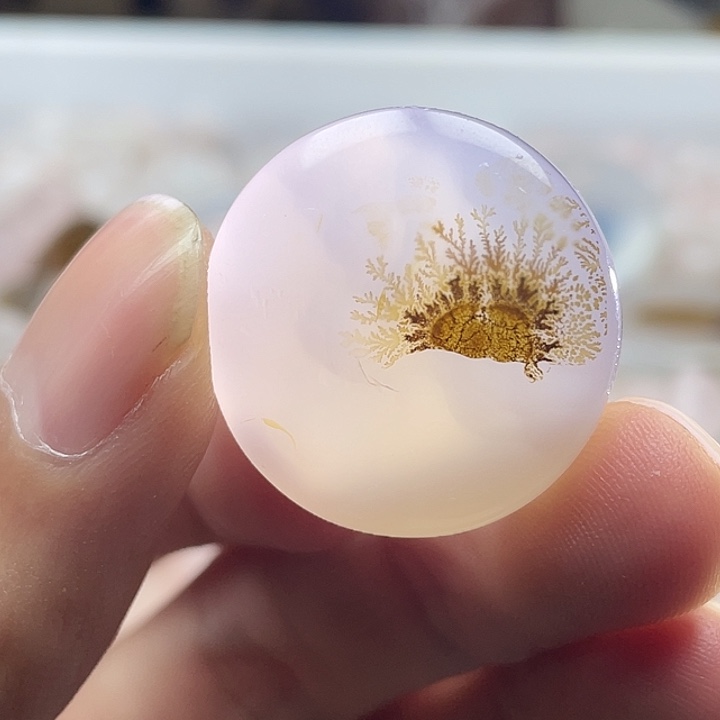 玛瑙/玉髓合金颈饰