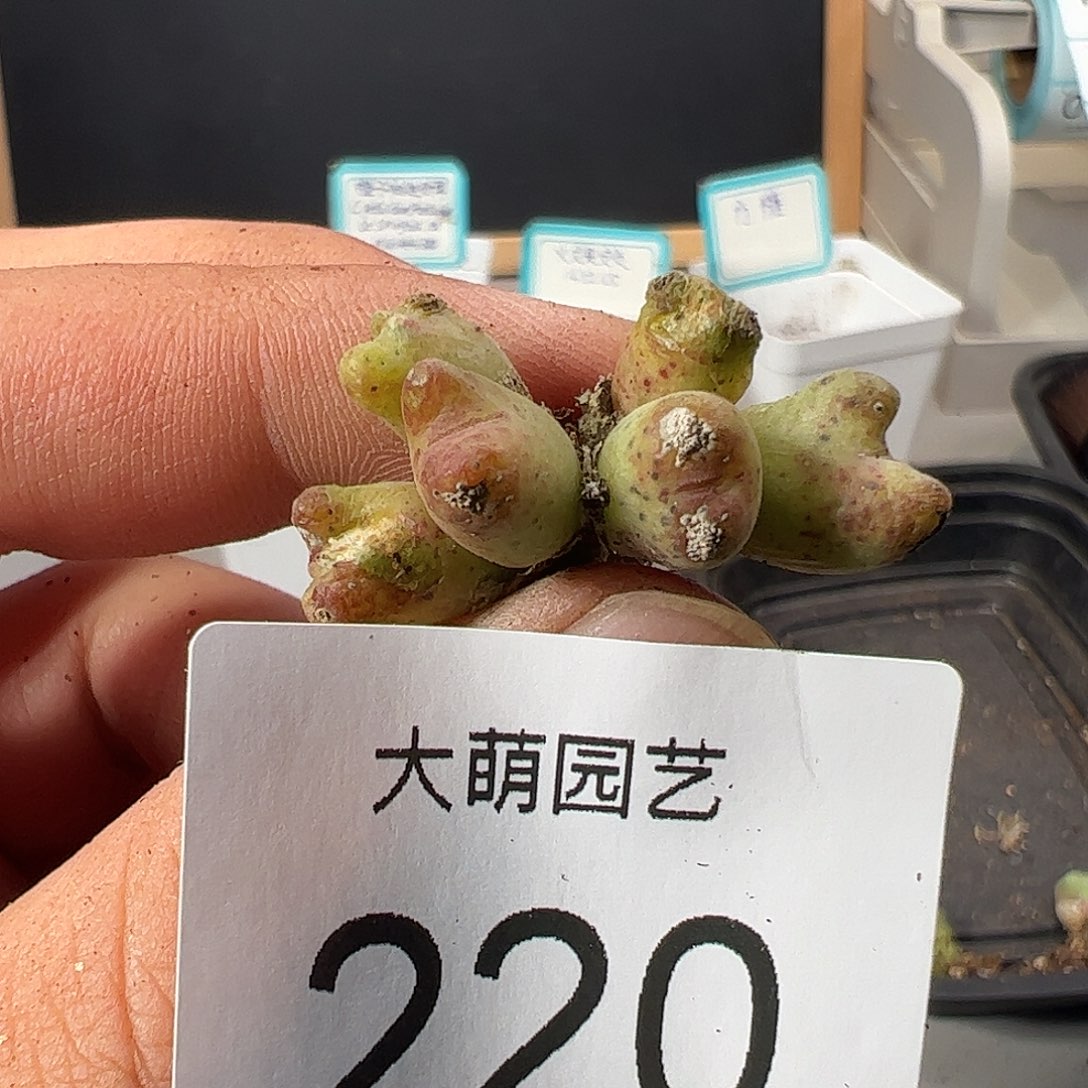 0000220 一物一拍……