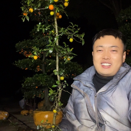 无花朵金弹子原生庭院品种