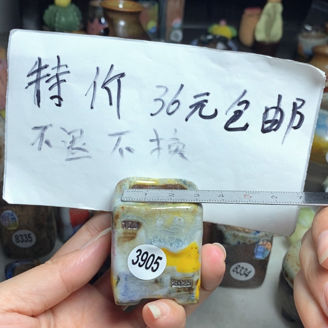 拍5送一个小礼物