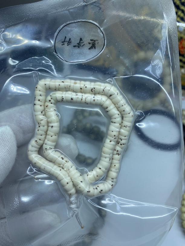 卡6原白数星星大肠