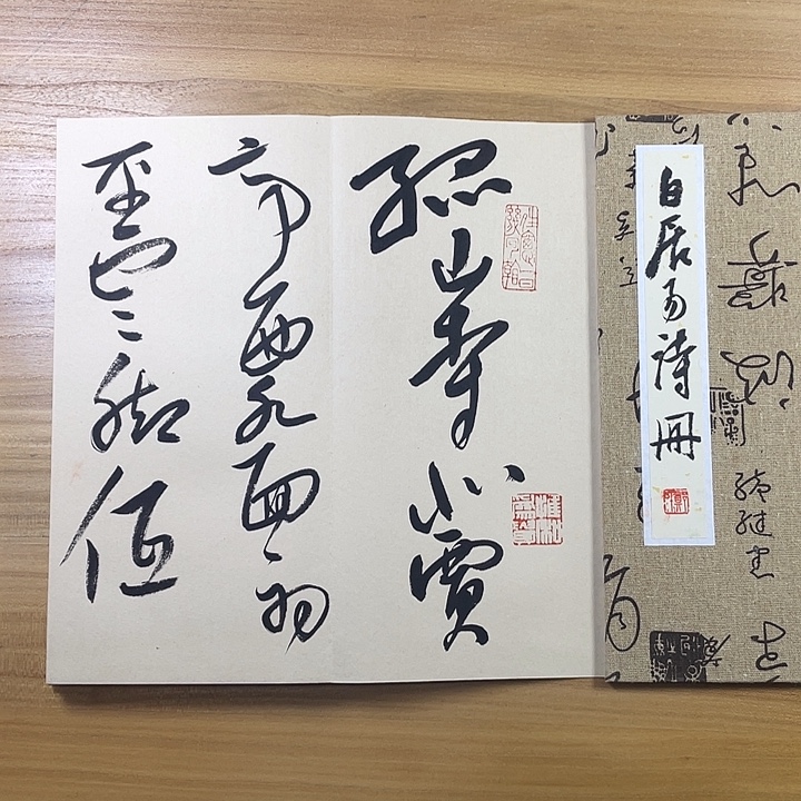 书法中书协会员作品