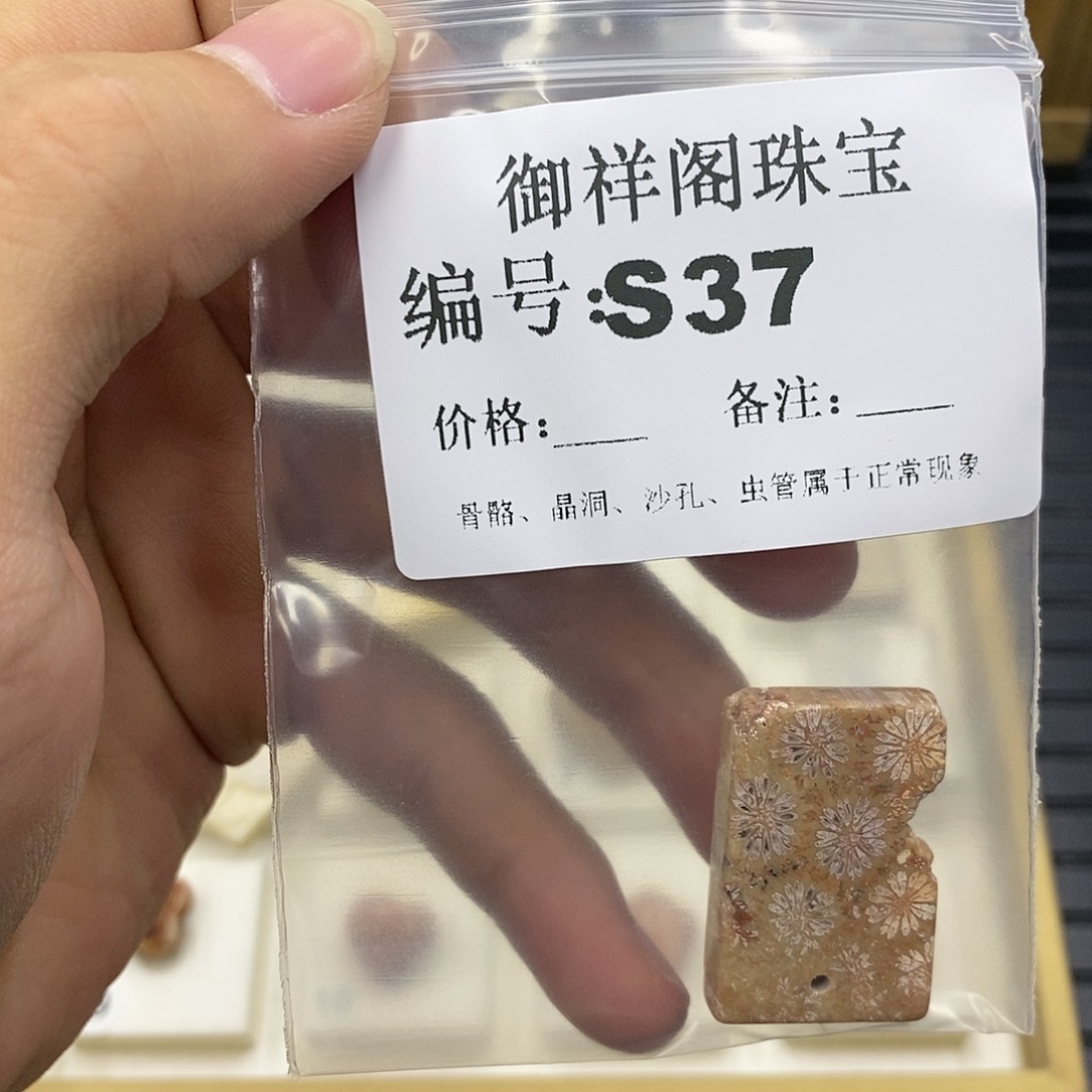硅化珊瑚（珊瑚玉）未镶嵌颈饰焯*