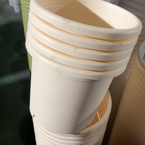 树脂四季4号5个无托米黄