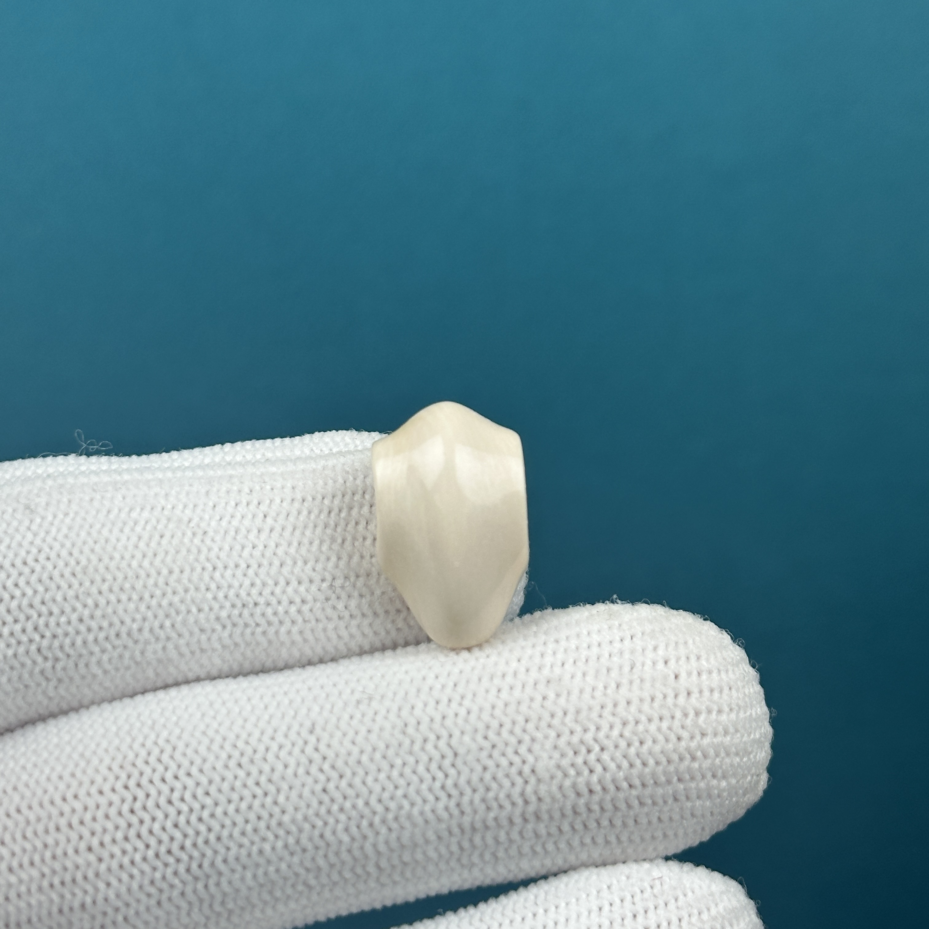 D60-14天然猛犸牙 鲨鱼背三通 11*18mm一物一图假一罚十