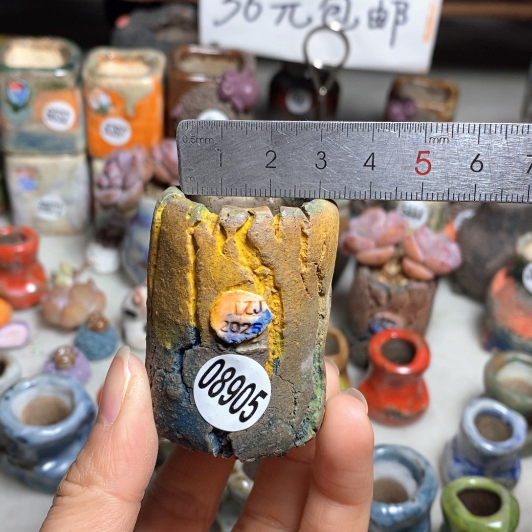 多肉花盆拍3送一个小礼物