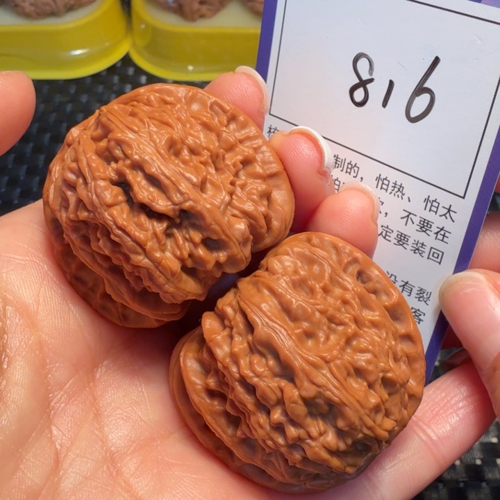把件文玩核桃816白狮子41