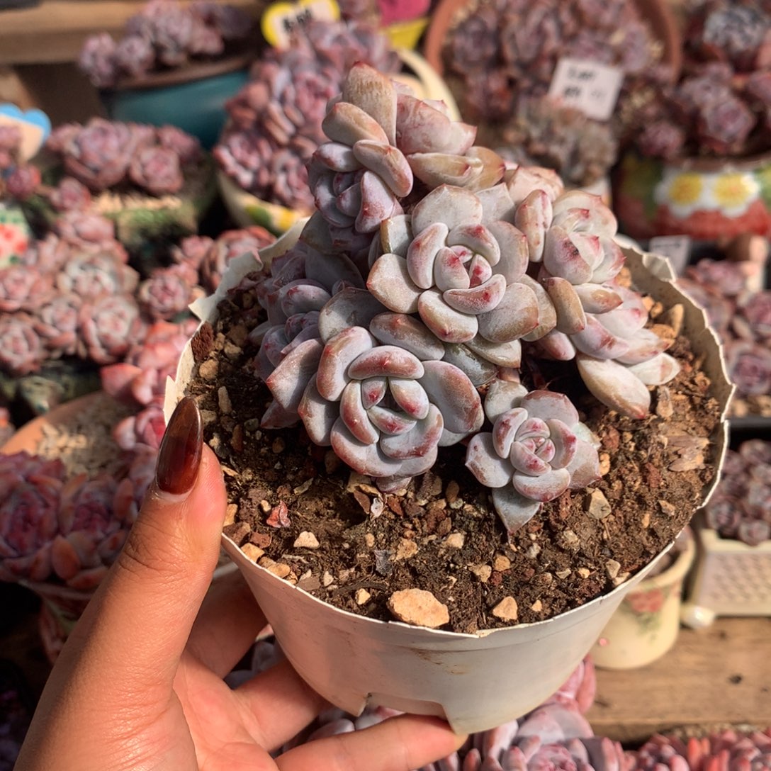 哈哈哈哈哈哈哈17