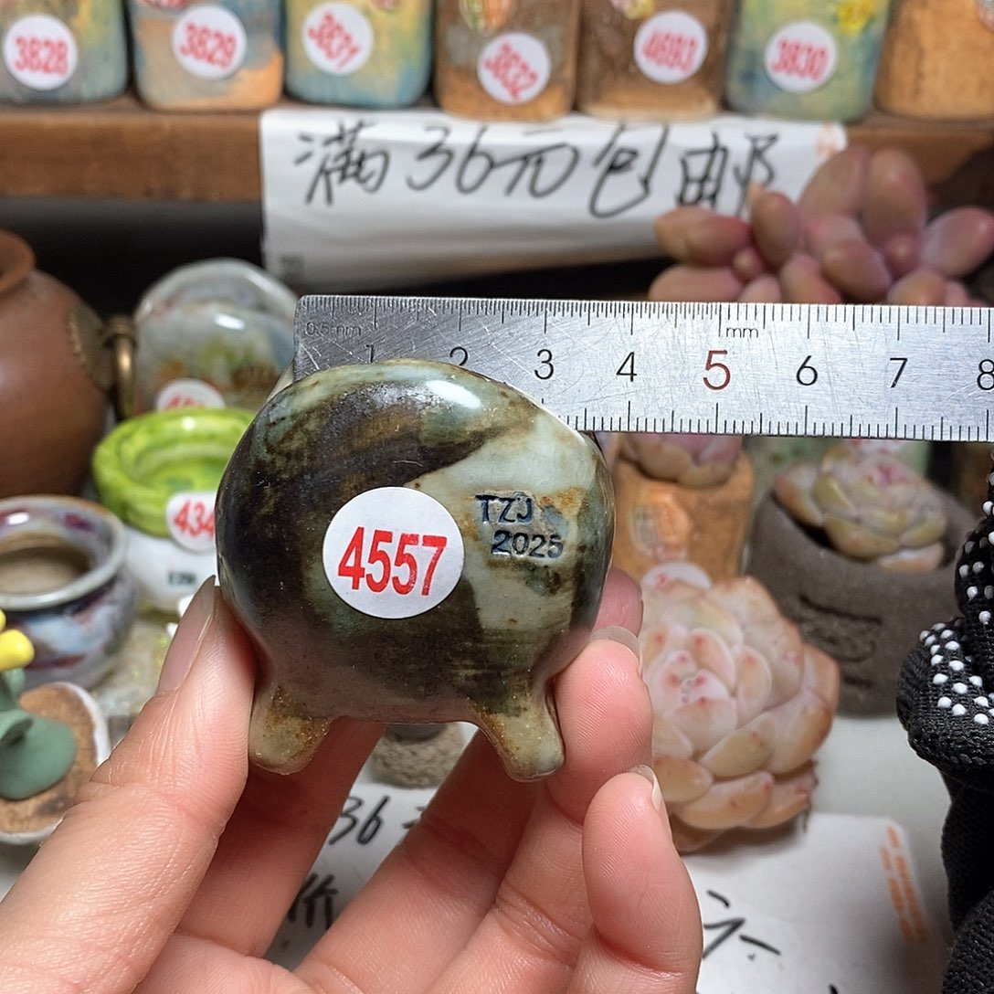 红陶处理的，处理