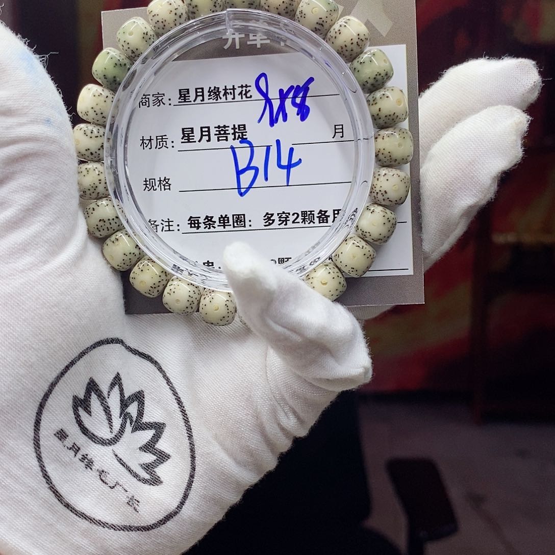 【闪购商品】星月菩提吊坠B14…………