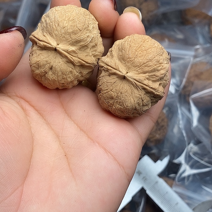 文玩核桃把件32号38mm