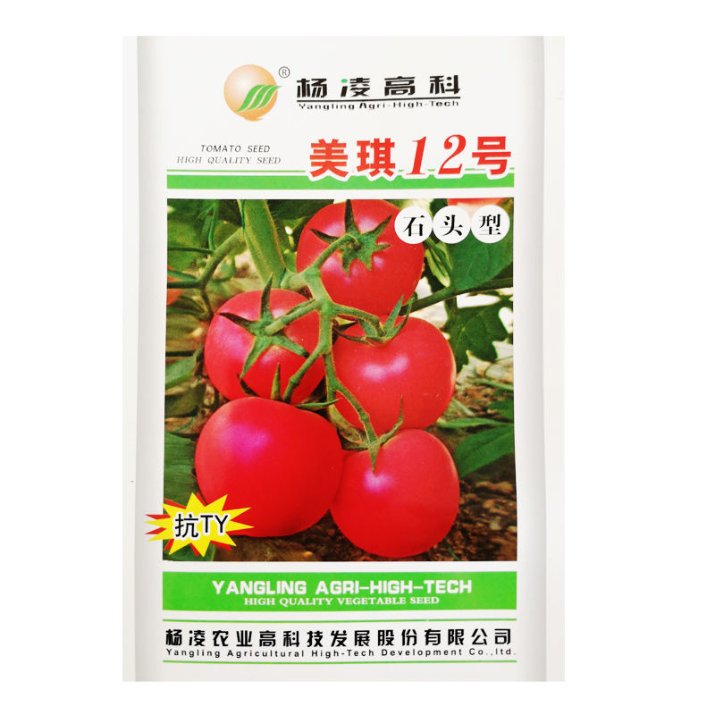 番茄种子西红柿种子硬果番茄种子美琪12号抗ty品种