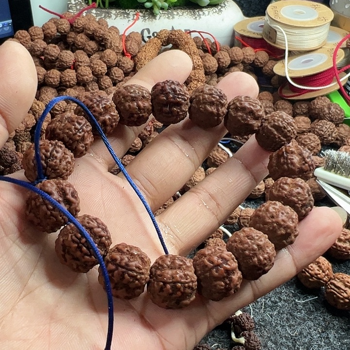 金刚菩提手串龙珠单圈有小歪有备籽能玩红