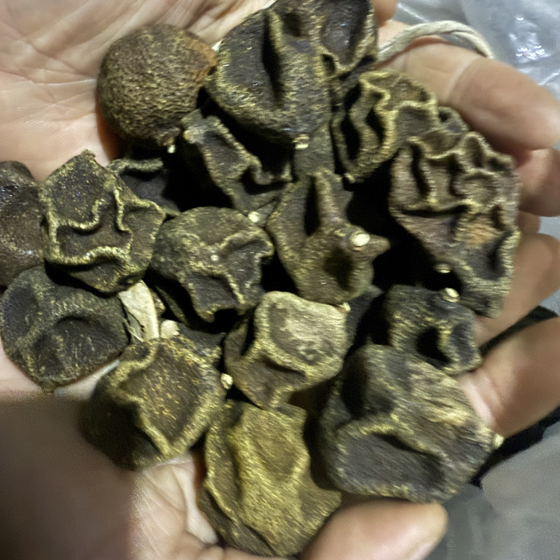 农家自然晾晒无熏无硫陈皮柑宝宝