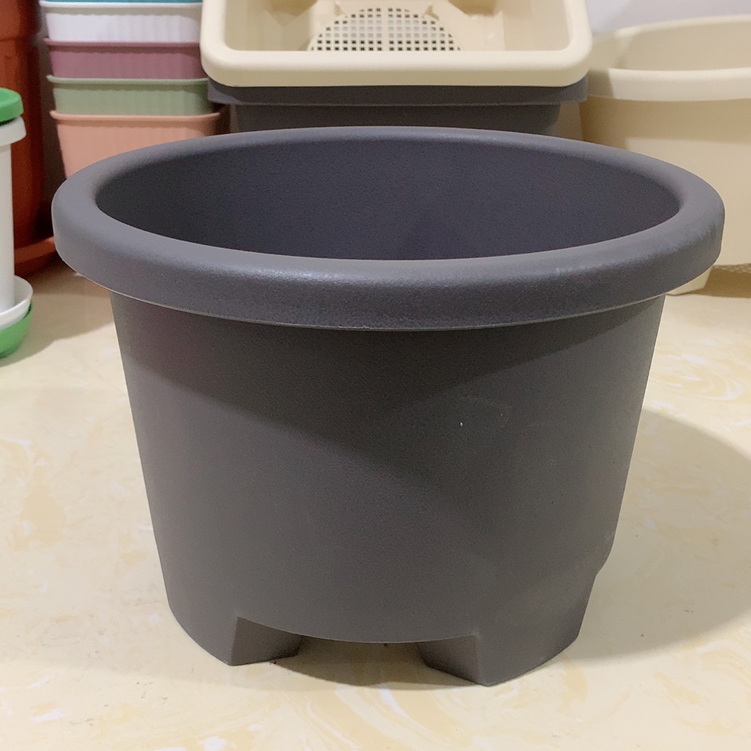 树脂球根口26咖色3个无托