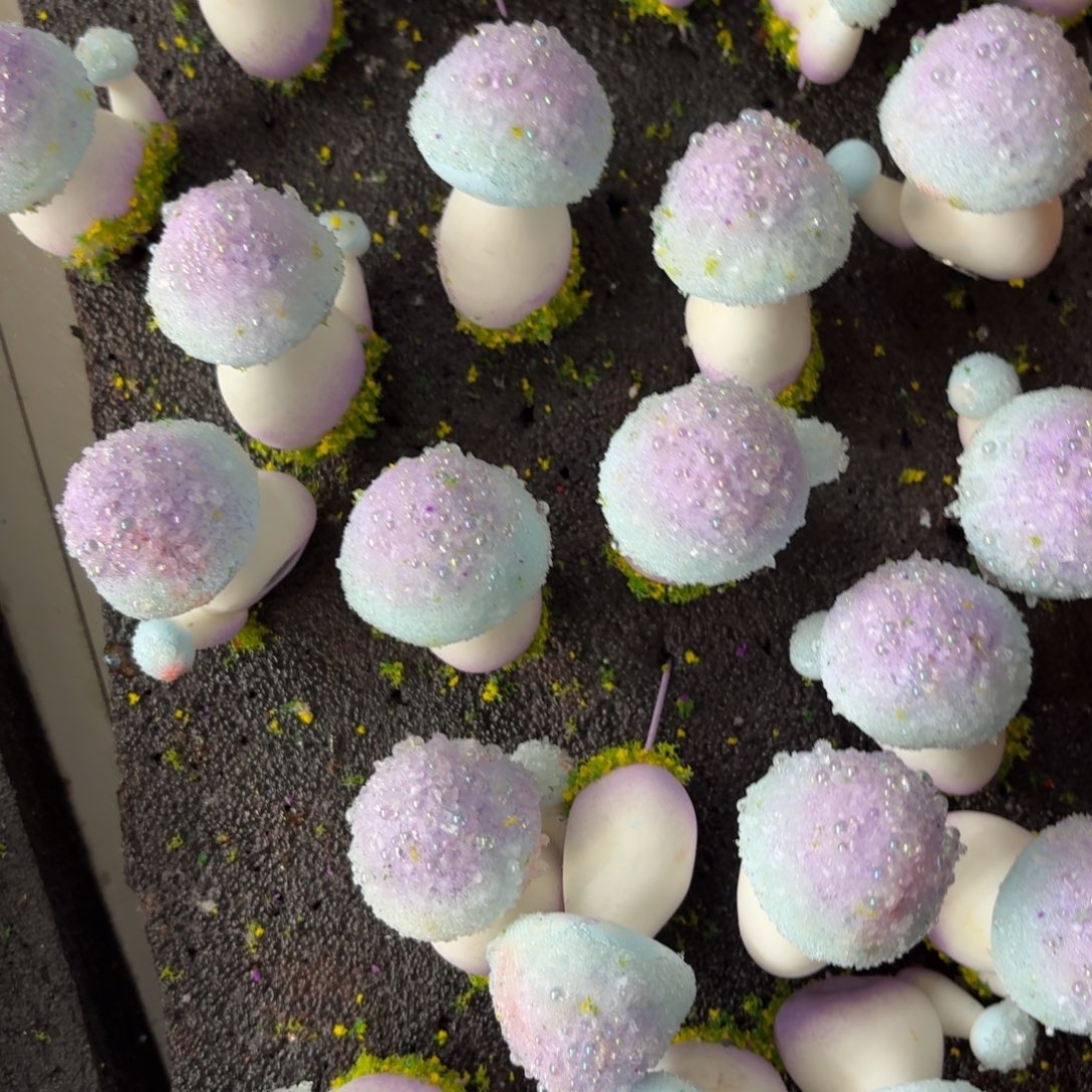 树脂74号2个一样颜色