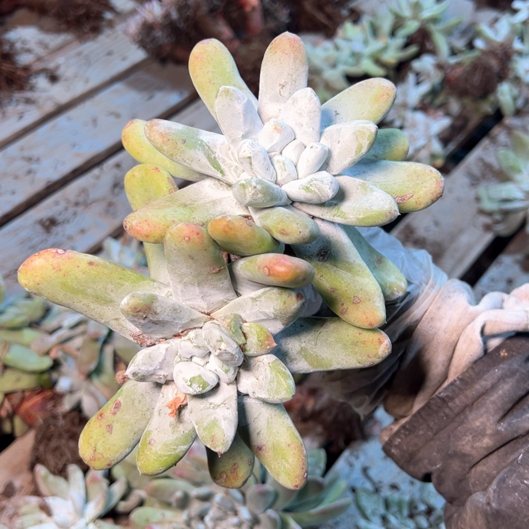 7345哈哈哈哈哈哈哈