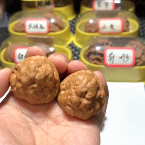 文玩核桃吊坠古蝉