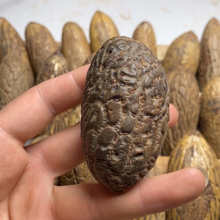 @***@千眼菩提吊坠菩提