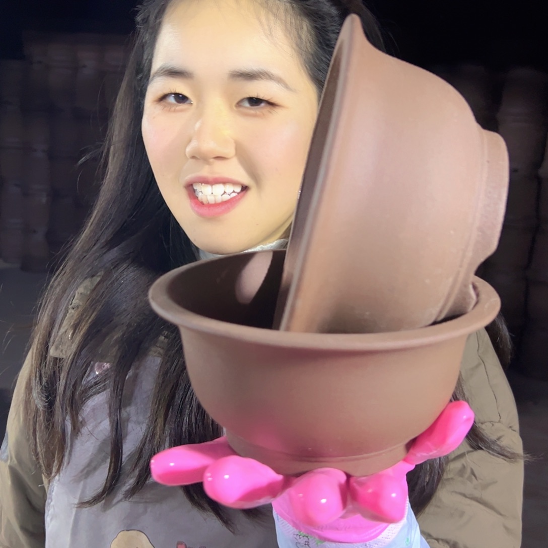 14+14查林小碗花盆花盆花盆