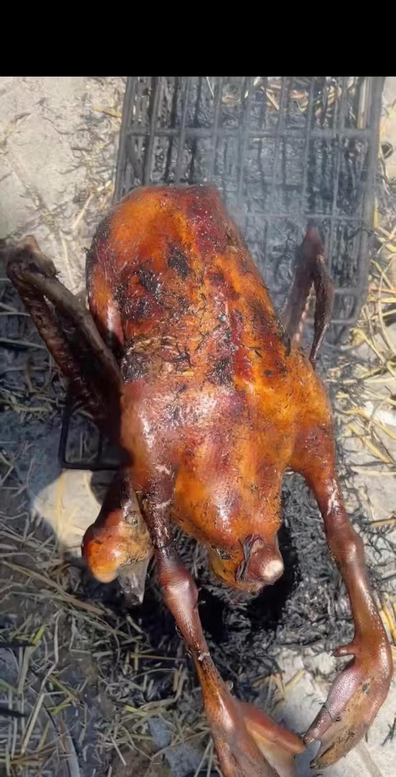 鲜肉直播间一物一拍现称现卖（以直播间实物为准）