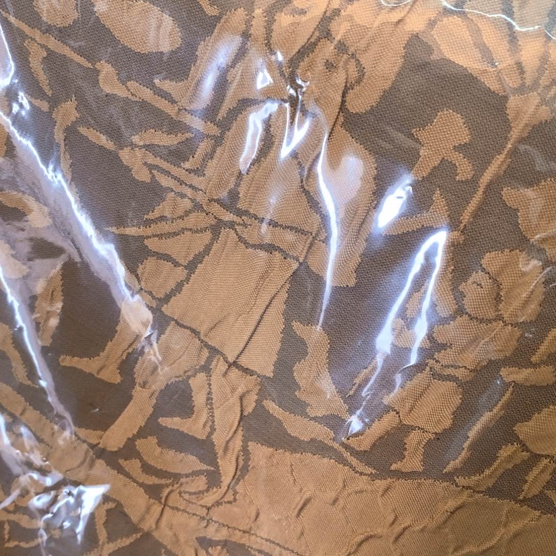 瓷片哈佛博士毕业