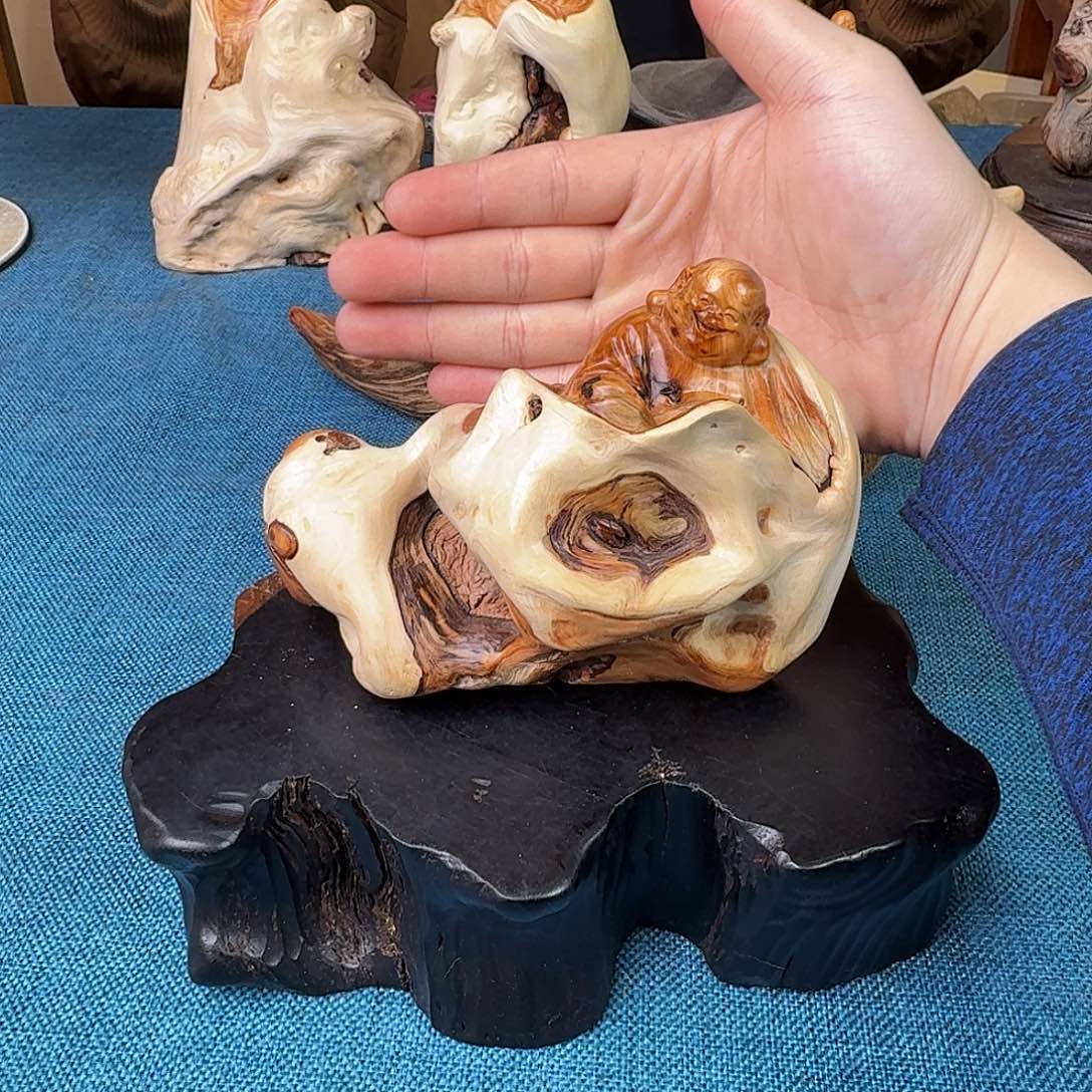 柏木（崖柏）关注一下