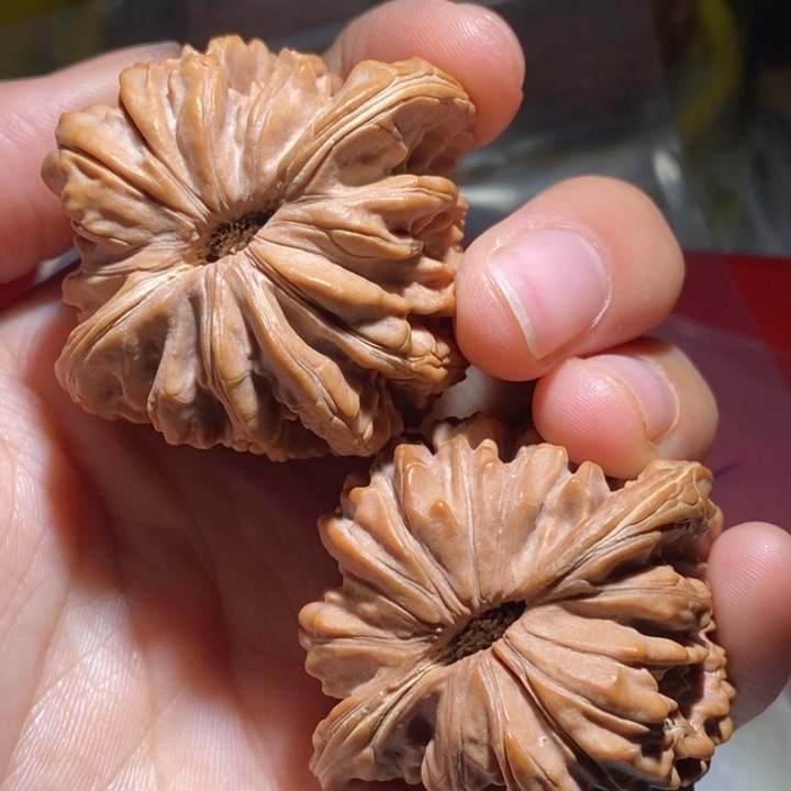 进***蛙吊坠文玩核桃精品课程的教学与研究工作