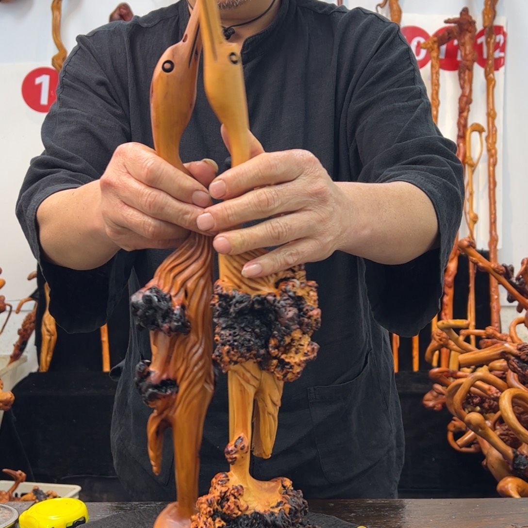 黑果木其他黑果木893