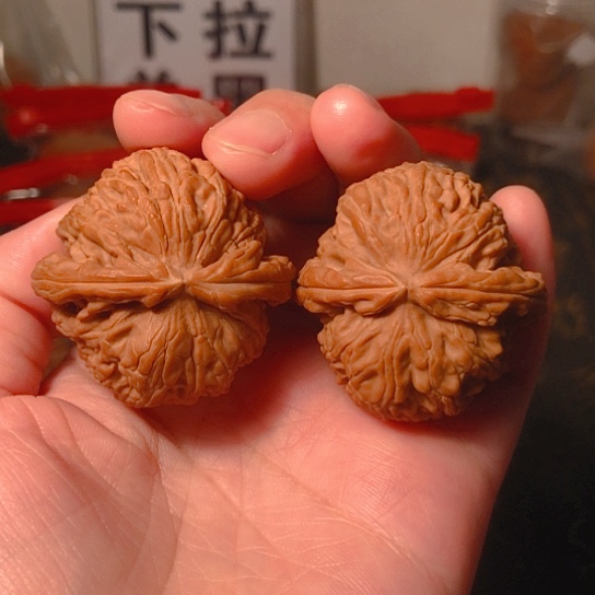 文玩核桃把件白狮子40