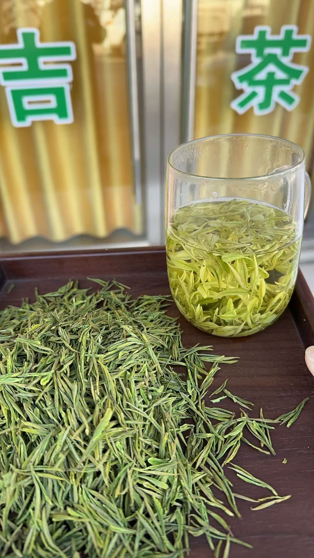 正宗安吉核心产区高山云雾熊猫奶白茶【顶货】