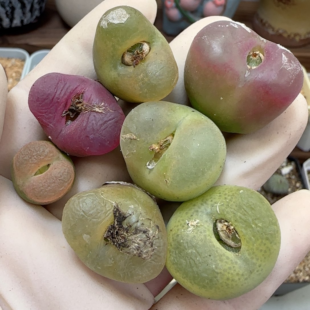 405福利福利福利