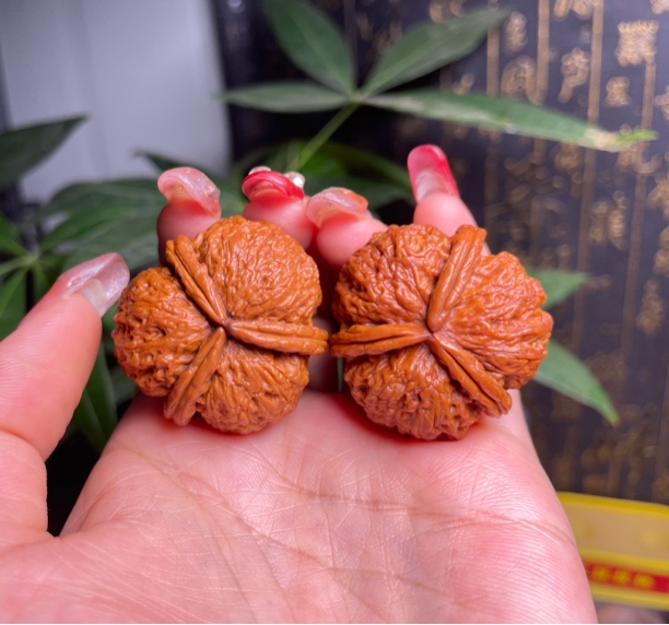 云南铁核桃专拍链接
