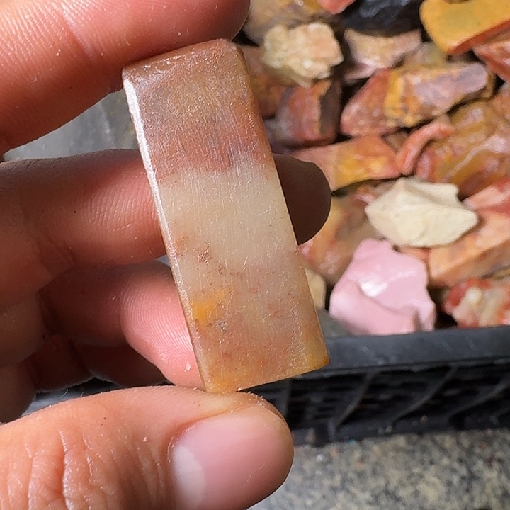 红***玩寿山石寿山石的种类