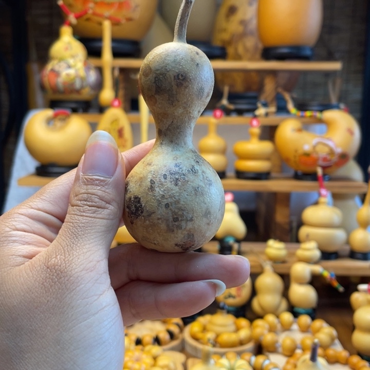 鲨***鱼天然葫芦自然生长