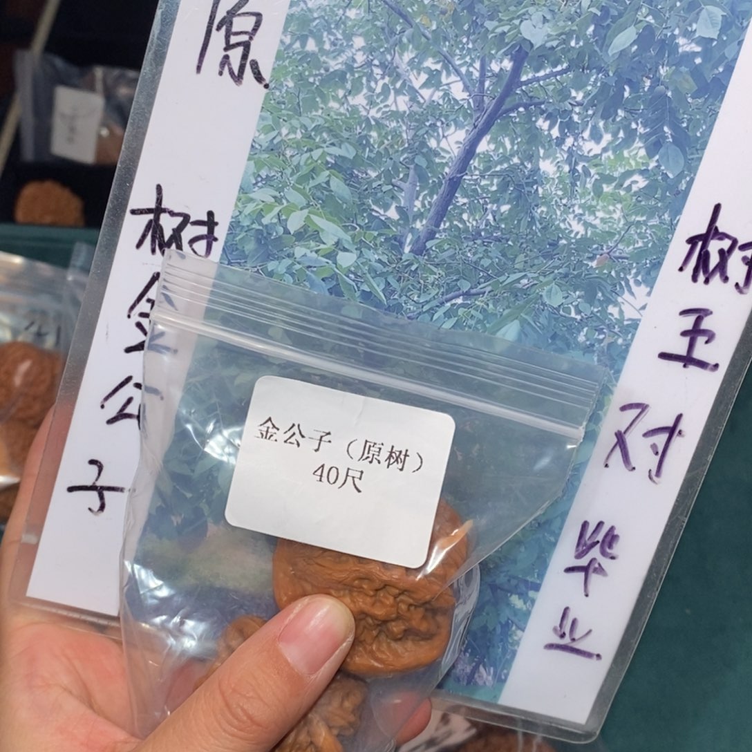 文玩核桃吊坠40金公子