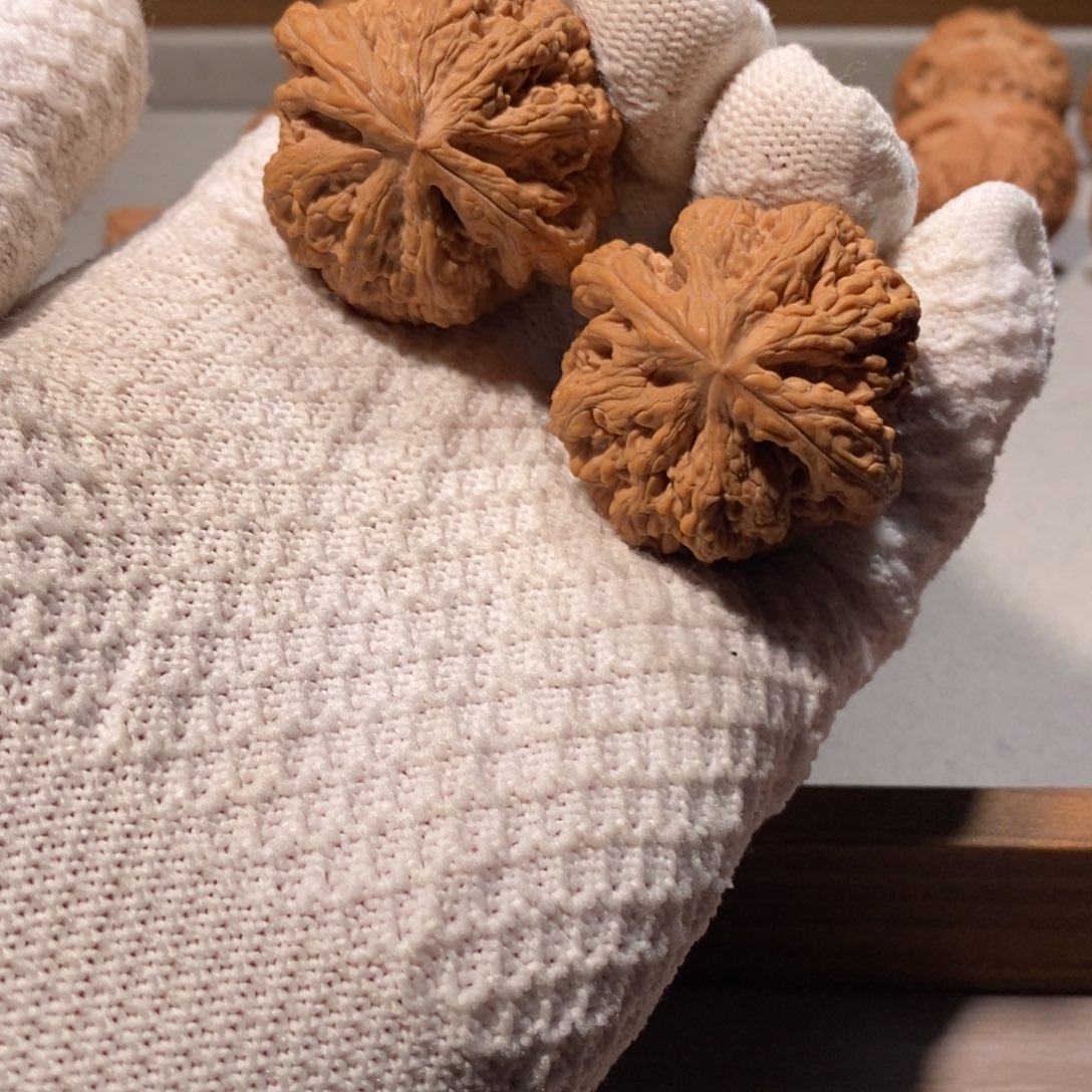 把件核桃39全品小粗筋