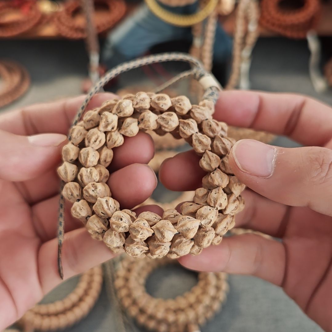 菩提龙骨热振柏香籽