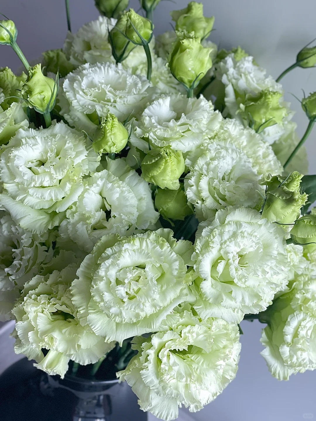 青柠海风波浪洋桔梗 -- 实物以直播间展示为准。