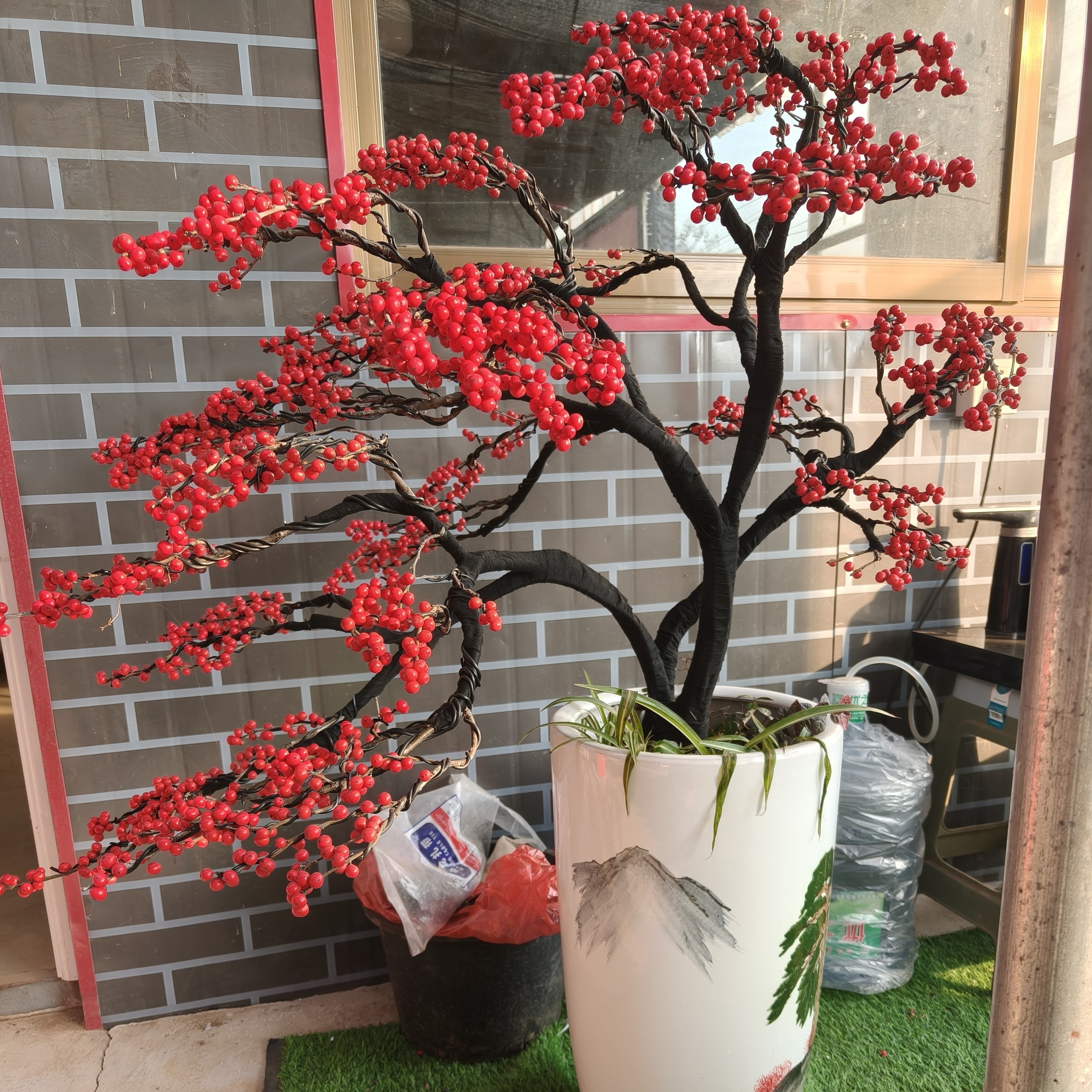 北美冬青原盆原土带红果发货阳台庭院室内造景植物盆栽